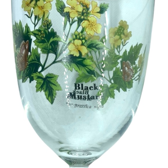 ROYAL WORCESTER Gold Trim Water Goblet ‘Worcester Herbs - BLACK MUSTARD’- 7" - Picture 3 of 7